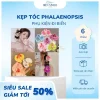 kep-toc-hoa-lan-dinh-hat-trai-bien-xinhh-accessory